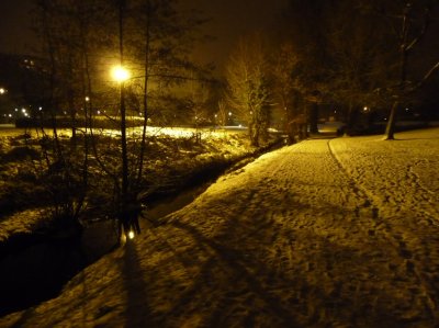 Parc bruxellois by night.