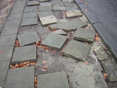 VoitureSurTrottoir-27.jpg