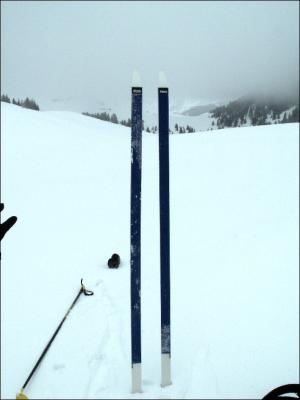 Peaux de phoque pour ski de fond (Rando Nordique)
