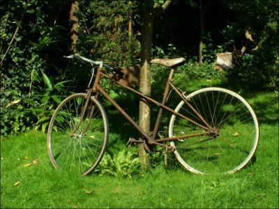 Ancien vélo semi-course dame, trouvé à Banyuls-sur-mer.