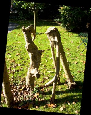 Rencontre reptilienne au sommet...