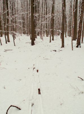 Hors piste, c'est mieux.