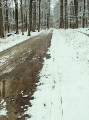 Les chemins,  viter.