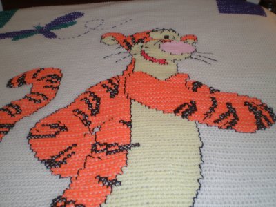 Tiger (close-up) - not for sale