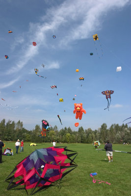 CRW_8460.jpg