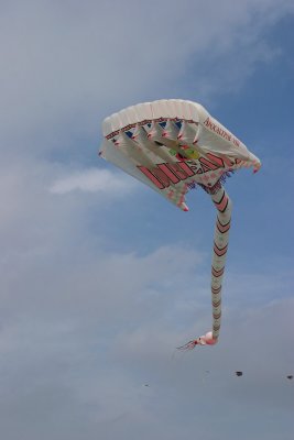 CRW_8417.jpg