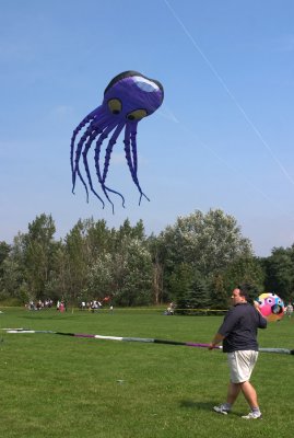 CRW_8461.jpg