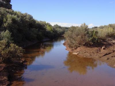 Funny to see a creek in back country !!!!