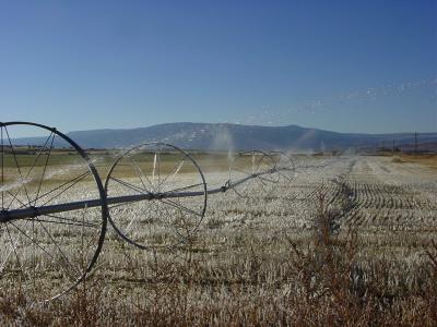  Cold morning shot with temp's in high 20's !!!