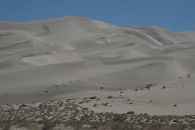 Should have got my 400 mm lens out to picture hiker's on dunes .