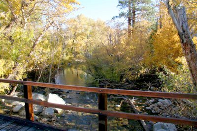 Nice creek flowing into Convict lake.