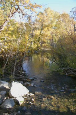 Cool look down creek with some reflections !!!