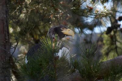 San Diego Zoo - Friday 7th_073.jpg