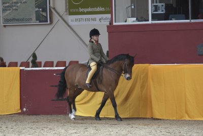 Ponies (UK) - Sunday 30th #1