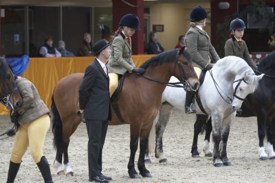 Ponies (UK) - Sunday 30th #5