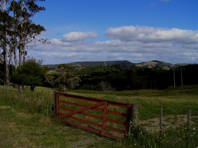 Waimate countryside