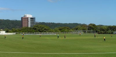 Wellington Ladies' cricket match