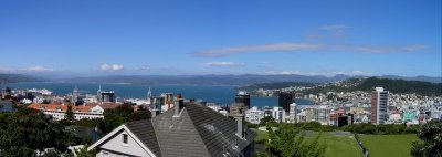 View of Wellington from Botanical Gardens