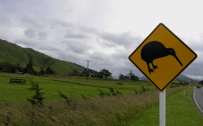 Kiwi alert