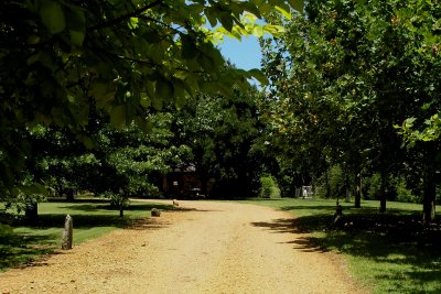 Armidale country home