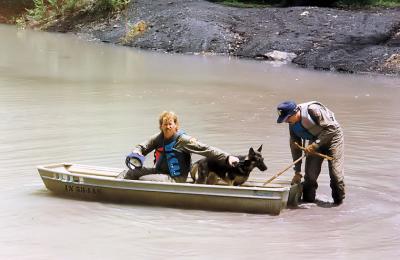 Cadaver Dog on search