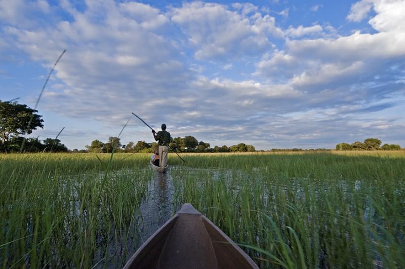 Okavango Delta, view from mokoro/boat