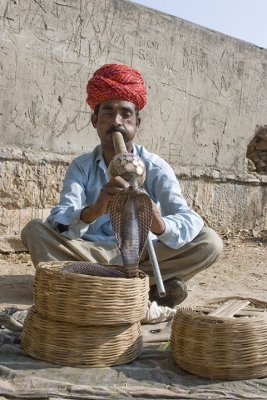 Jaipur, snake charmer