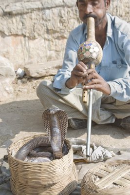 Jaipur, snake charmer