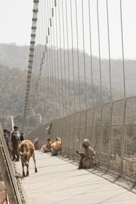 rishikesh, Ram Jhula bridge