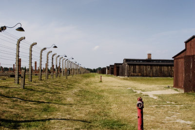 Birkenau - summer