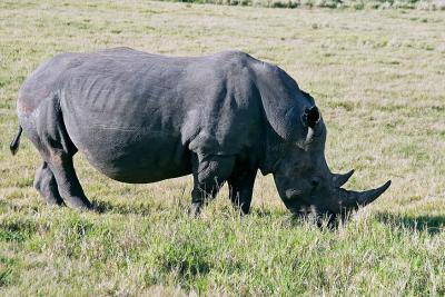 game park, outside Port Elizabeth