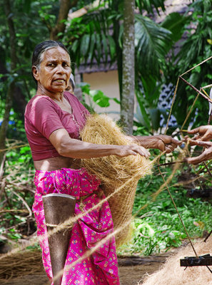 kollam, backwaters