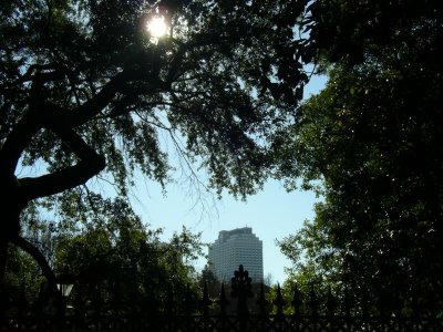 IMGP1647sm.JPG