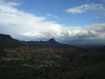 IMGP2489sm.JPG
