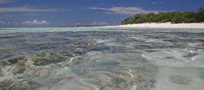 Heron Island - vistas