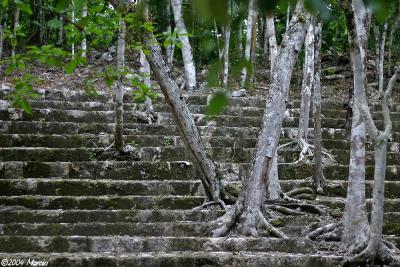 Balamku - Mayan ruins