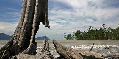 Sarawak - vistas