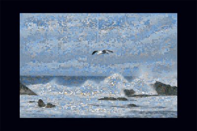 Monterey Mosaic 1200.jpg