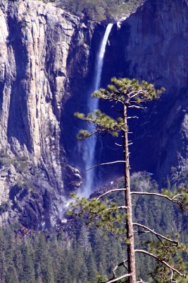 Yosemite 1189