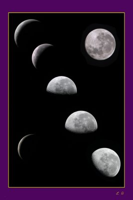 Moon Poster Purple mat Portrait 1000.jpg