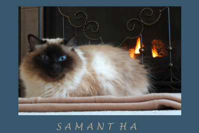 SAMANTHA1200.jpg