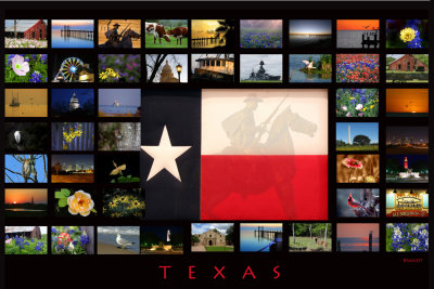 Texas Poster