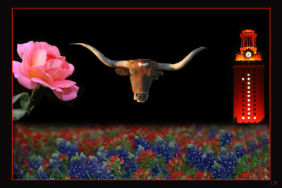 Texas Collage Initialed1000.jpg