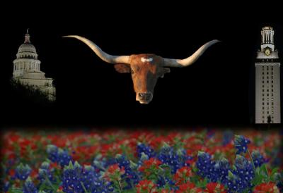 TexasCollage.jpg