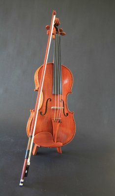 The anatomy of a violin