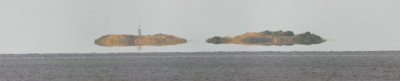 floating island