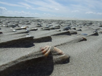 sand