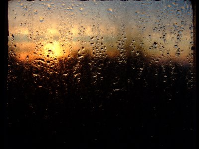 window