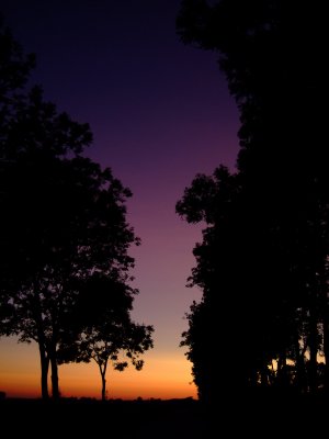 colorful evening