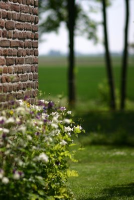 the wall